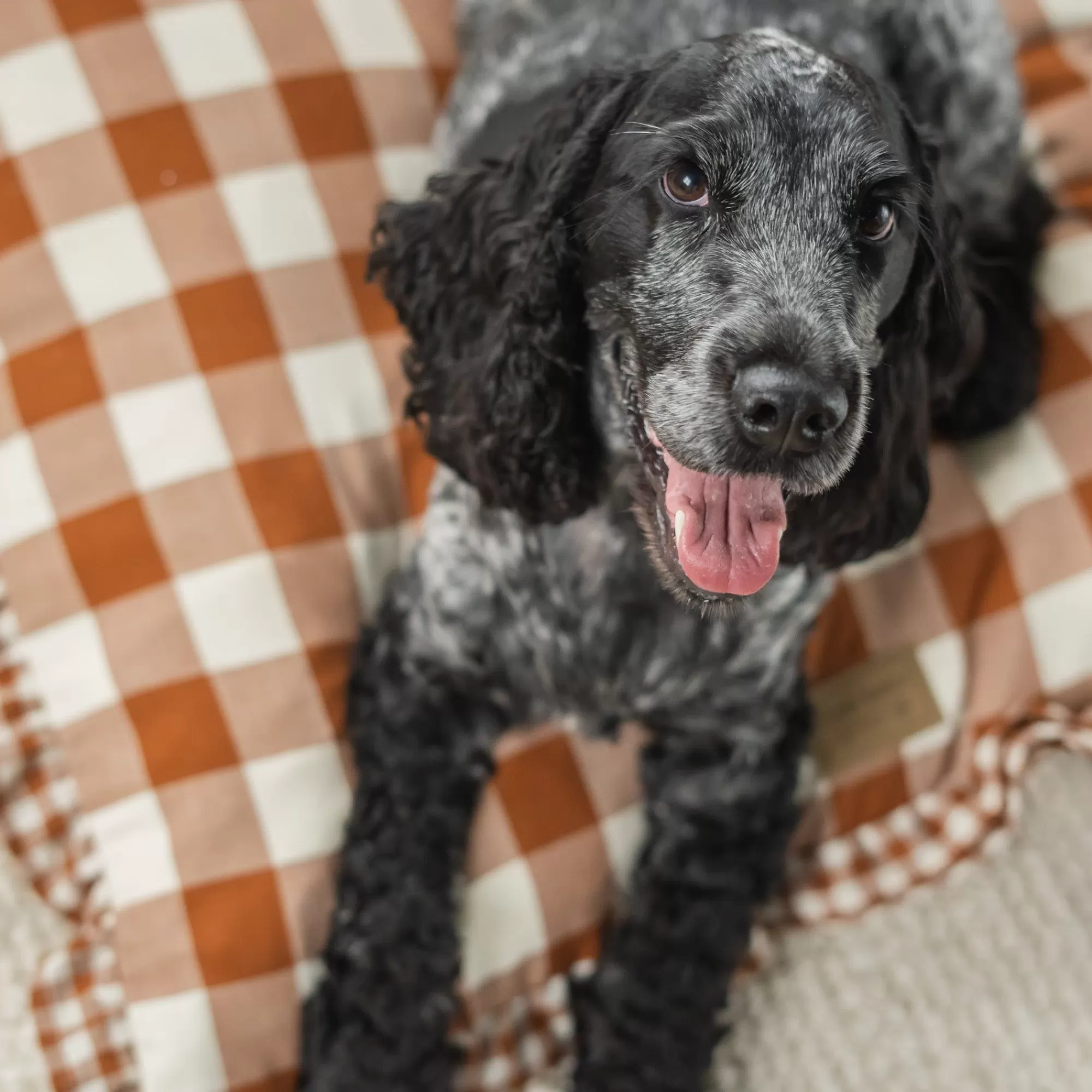 Sale Vintage Brown Gingham Envelope Dog Bed Plaid