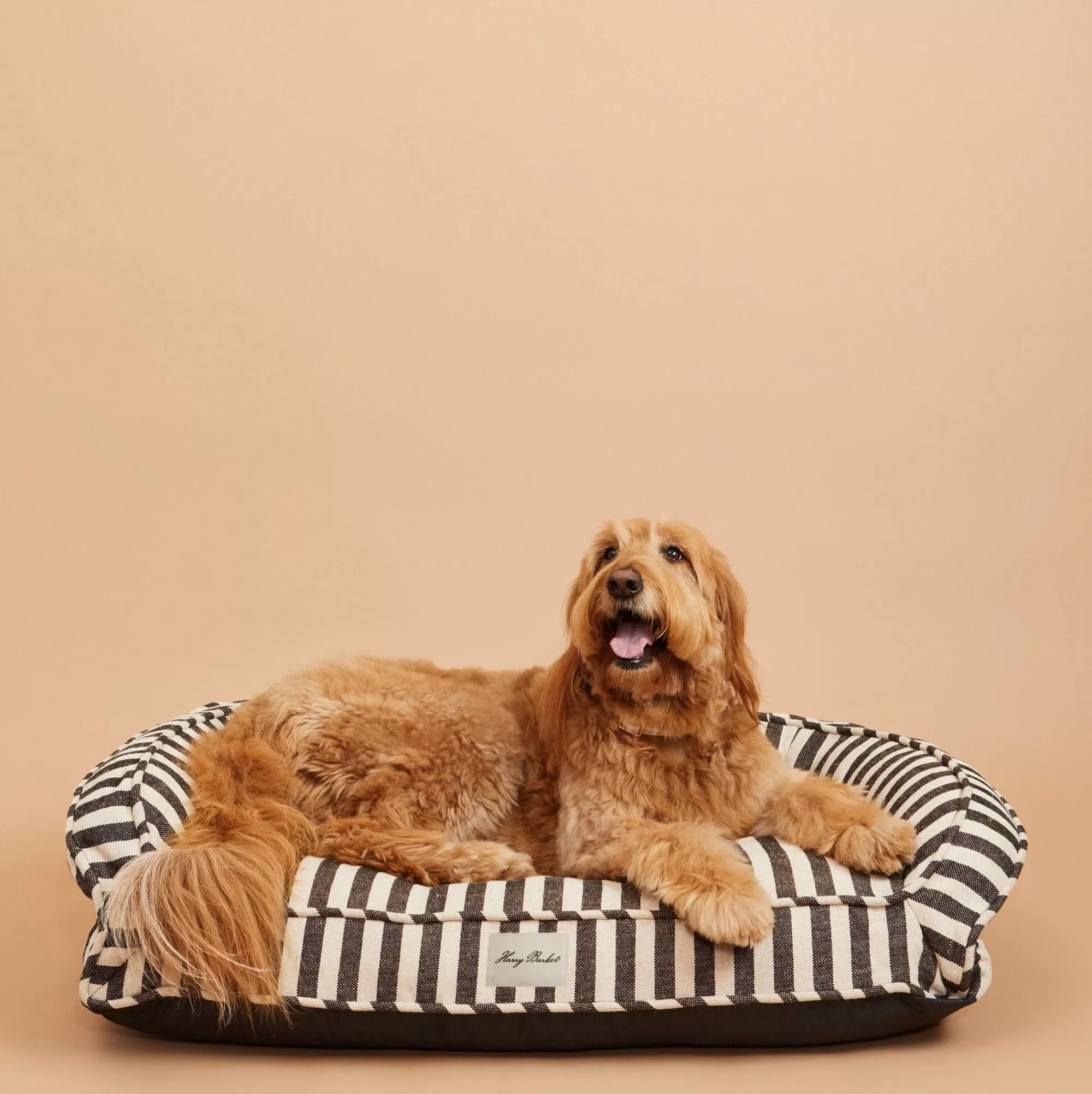 Best Vintage Stripe Ortho Lounger Full Beds