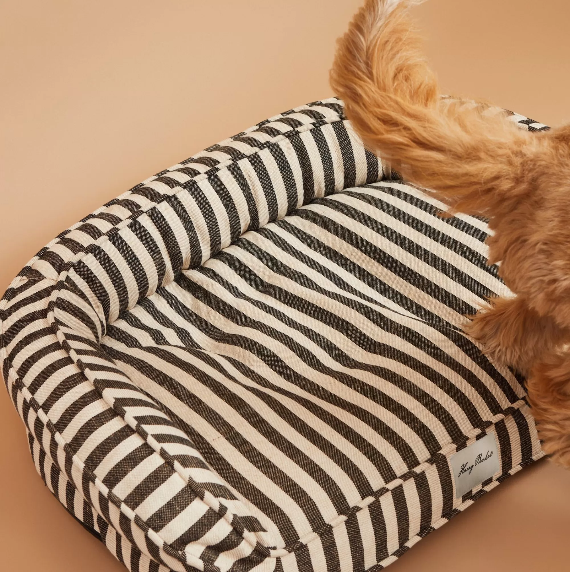 Best Vintage Stripe Ortho Lounger Full Beds